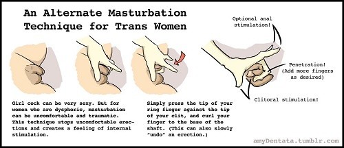trans techniques